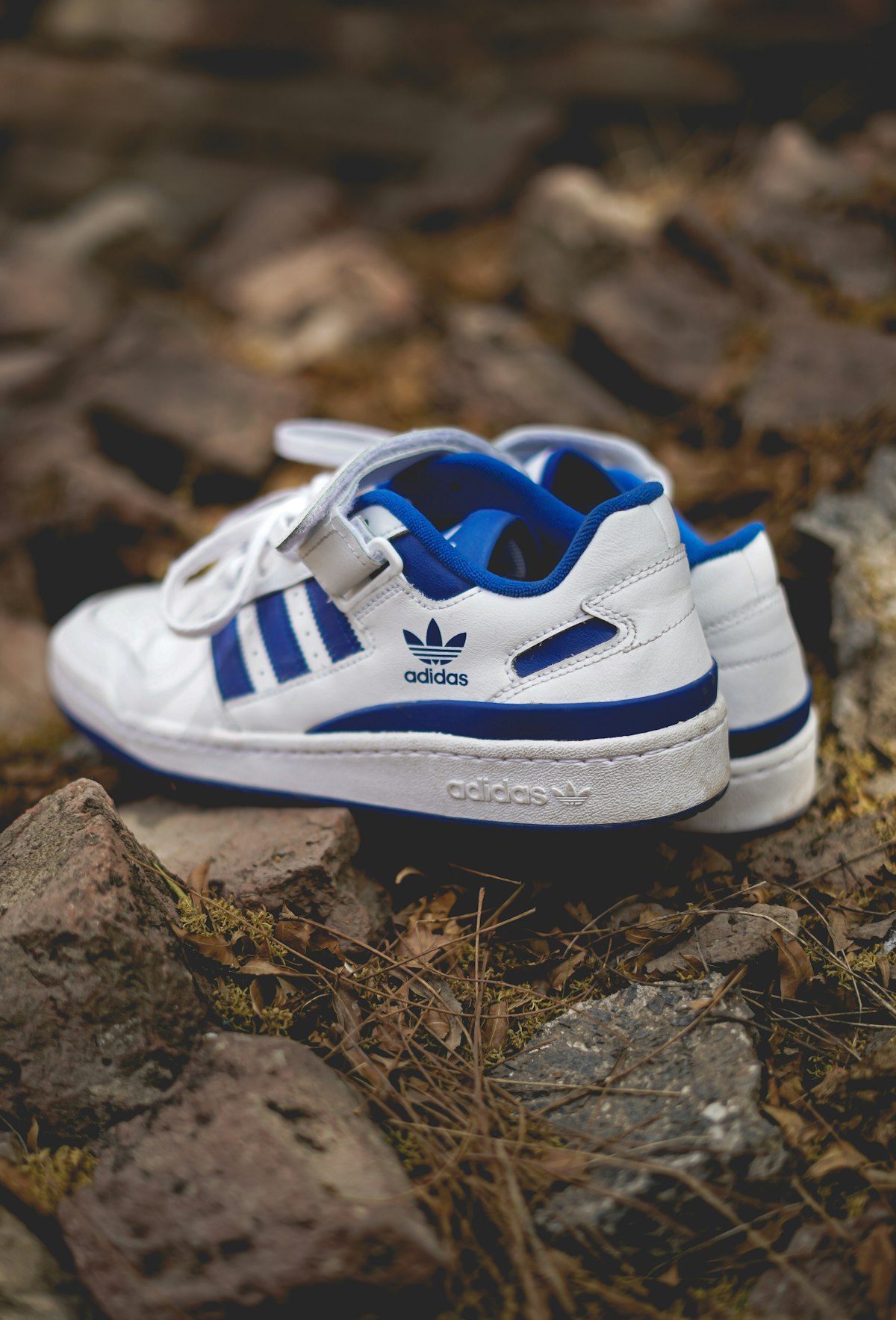 adidas Forum Low in cloud white and royal blue